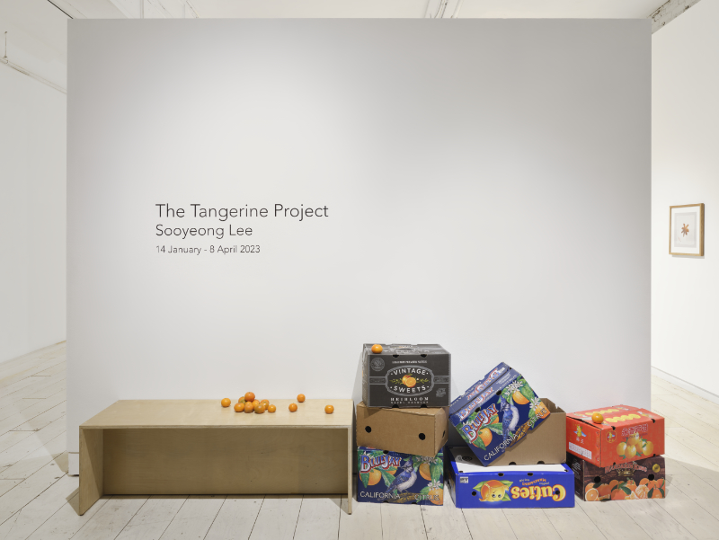 Photo of tangerine boxes in the window of a gallery