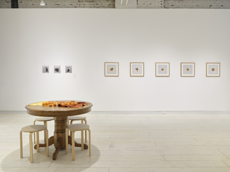 Installation view of the Tangerine Project