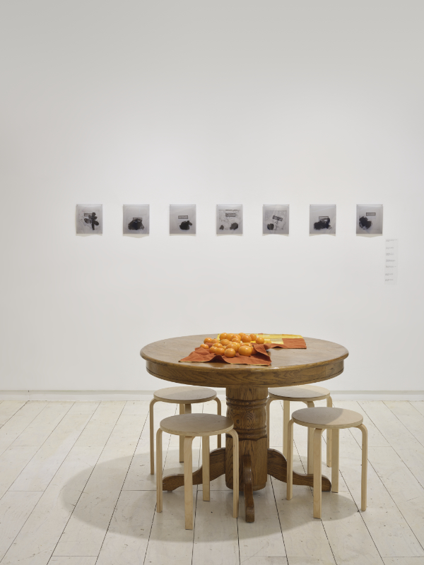 Installation view of the Tangerine Project